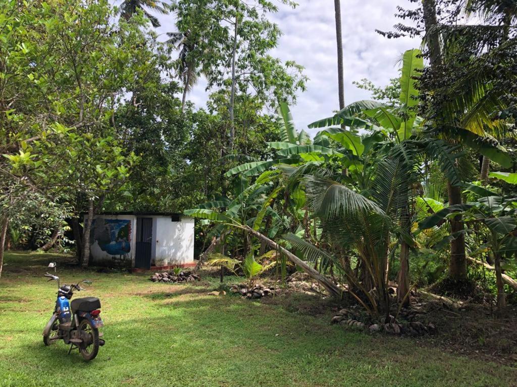 Siri Medura Surf Yoga Meditation Guesthouse And Hostel เวลิกามา ภายนอก รูปภาพ